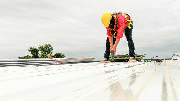 Best Roof Moss and Algae Removal  in Muttontown, NY